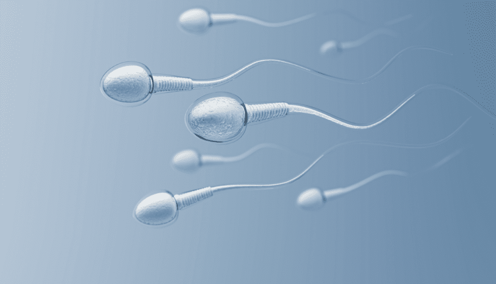 calitatea spermei