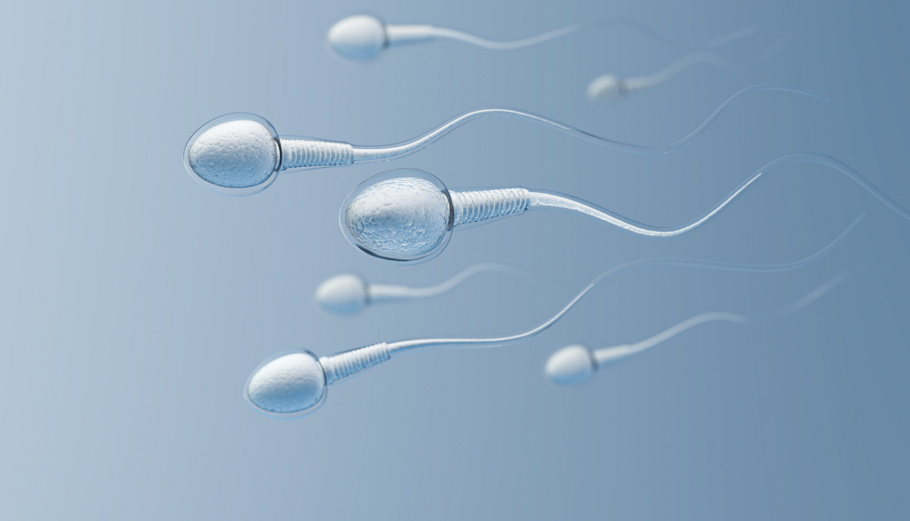 calitatea spermei